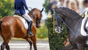 Svart på hvitt: Neseryggen bak lodd lønner seg