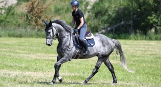 Tenk på dette når du trener hestens kondisjon i hverdagen