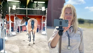 Fremtidens hestevelferd med KI-teknologi