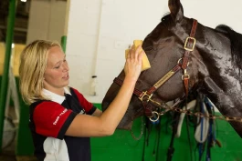 Ragnhild tar spesialistutdannelse som hesteveterinær: – Vi må tørre å se på om vi kan gjøre ting annerledes