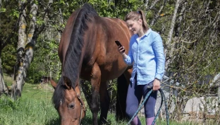 Digitalt verktøy for oppdrettere: Slik får du en enkel oversikt over drektigheten til hoppa