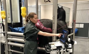 Undersøker dølahopper: Trend til endringer i livmoren som ikke er forenlige med drektighet