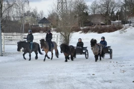 Rideskole på travbanen rekrutterer: – Hovedmålet vårt er at barna skal ha det gøy i stallen