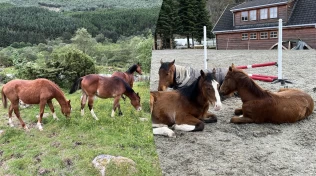 Tvillingene fra Rogaland fyller snart ett år: – De er fremdeles tett på hverandre og leker hele tiden