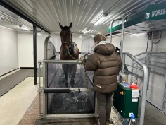 Eneste rehabiliteringsstallen nord for Dovre: – Positivt å ha et tilbud i distriktene også