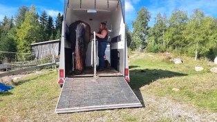 Etologen om miljøtrening: – Vi må jobbe med hestens frykt framfor atferden