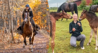 Tiril (23) driver stall, satser sprang og avler: – Friske hester står øverst på prioriteringslista