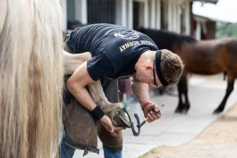 Bli med Norges beste hovslagere på trening: – Flere burde konkurrere for å hele tiden utvikle seg