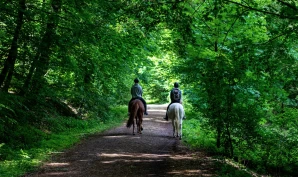Tilvenn unghesten å gå på tur: Et godt utgangspunkt for variert trening