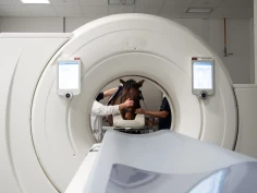 Vekstplate hos hesten kan ha sammenheng med wobbler: – Veldig oversett hos hest