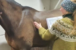 Mange ser ikke at hesten er for tykk: Slik gjennomfører du en holdvurdering