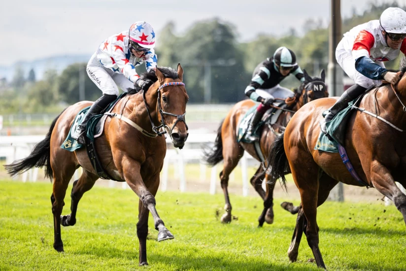 Bildespeil fra Norsk Derby på Øvrevoll Galoppbane