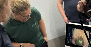 Medisinering, behandling og tilpasning av rutiner: Unngå tilbakevendende magesår