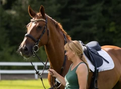 Veterinæren om veterinærkontroller: – På litt feil spor med det voldsomme fokuset på blod