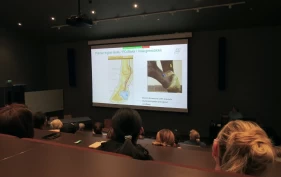 Halthetsdiagnostikk: Hvorfor halter hesten?