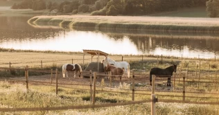 Slik har Linda utviklet «Paddock Paradise» på den gamle familiegården