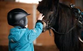 Priser til forskning på barfothester og tilbud med hest for barnehagebarn