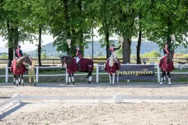 – Målet må være å ha kvalifiseringer og programmer som får flere til start