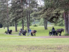 I gang med prosjektet «Hest og kjerre inn i fremtiden»