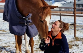 God hestevelferd i rideskolen: Hvor mange timer kan hesten gå?
