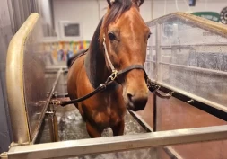 Vanntredemølle: – Nytter ikke å sette alle hester på samme hastighet og vannhøyde