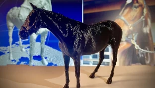 Denne 3D-modellen skal forbedre dagens hestehelse