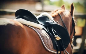 Mobilen kan ha reddet Helle da hun falt av: – Et viktig tema for alle som rir hest alene