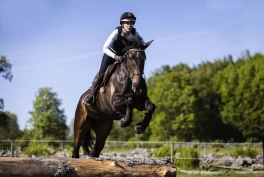 En guide til deg som skal kjøpe sikkerhetsvest