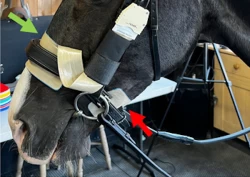 Slik påvirker type reim og stramhetsgrad trykk fra nesereimen