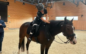 Kan ryttertrening bedre hestevelferden?