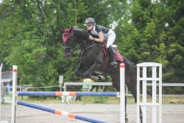 En av Sveriges beste travere er blitt spranghest – hopper 130 cm