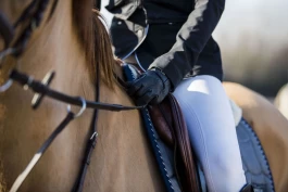 « På tide med en snillere hestesport – for både hest og rytter