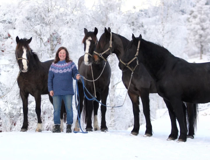 Travtrener Merete om sportens lyse sider: – Hestene får et langt liv etter tiden hos meg