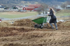 Hestemøkka som går tapt: Ny forskning på kompostering av flisblandet møkk