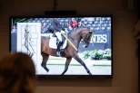 Sits i fokus: – Verktøy for hva rytteren kan gjøre istedenfor å påføre mer trykk