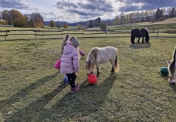 Hestekrefter fremmer helse og trivsel: – Så viktig med slike tilbud