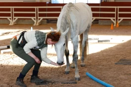 Matilde Brandt: – Sikkerhet er også å gi hesten et valg