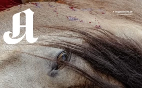 « Jo, vi kan ha godt av å se en hest dø