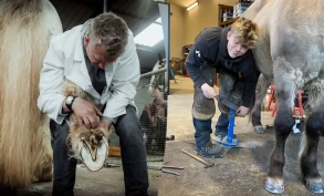 Hovslager Aksel Vibe: Regulering trenger ikke å bety ekskludering