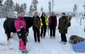 Vil legge ned den eneste hestelinja i Troms: – Rammer en hel næring