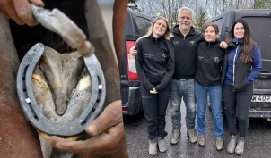 Mener hovslagerbransjen bør tenke mer i retning av selskap med flere ansatte