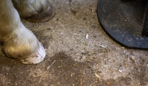 Å gå fra sko til barfot