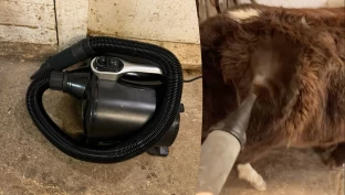 Bruker hundeblåser på hest: – En rekke positive effekter