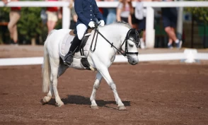 Opprop for å beholde LD som dressurprogram: – Vil ekskludere mange