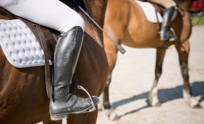 – Helt uakseptabel og uetisk oppførsel mot hesten, sier professor i dyrevelferd