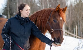 Belønningsbasert trening: Kan hesten trenes på samme måte som hunden?