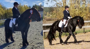 Kritisk for dølaheststevnene at LD utgår: – Fare for at de vil avlyses