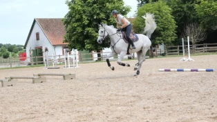 Forbedre hestens galopp med spennende bomarbeid