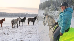 Skuffet over dyrevelferdsmeldingen: – Hesten blir ikke vurdert som viktig