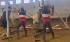 Anklages for dyremishandling – stalleieren kjenner seg ikke igjen i kritikken